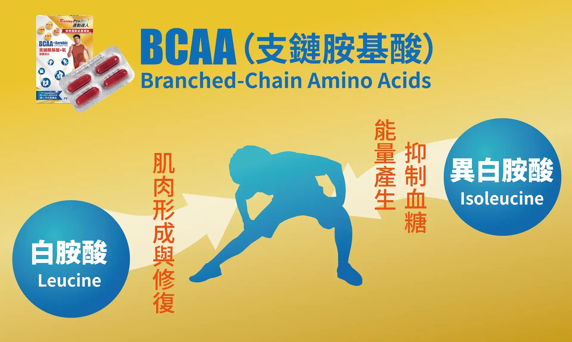 運動達人RacingPro BCAA是什麼 肌肉 能量 BCAA+氧膠囊 BCAA膠囊訓練版